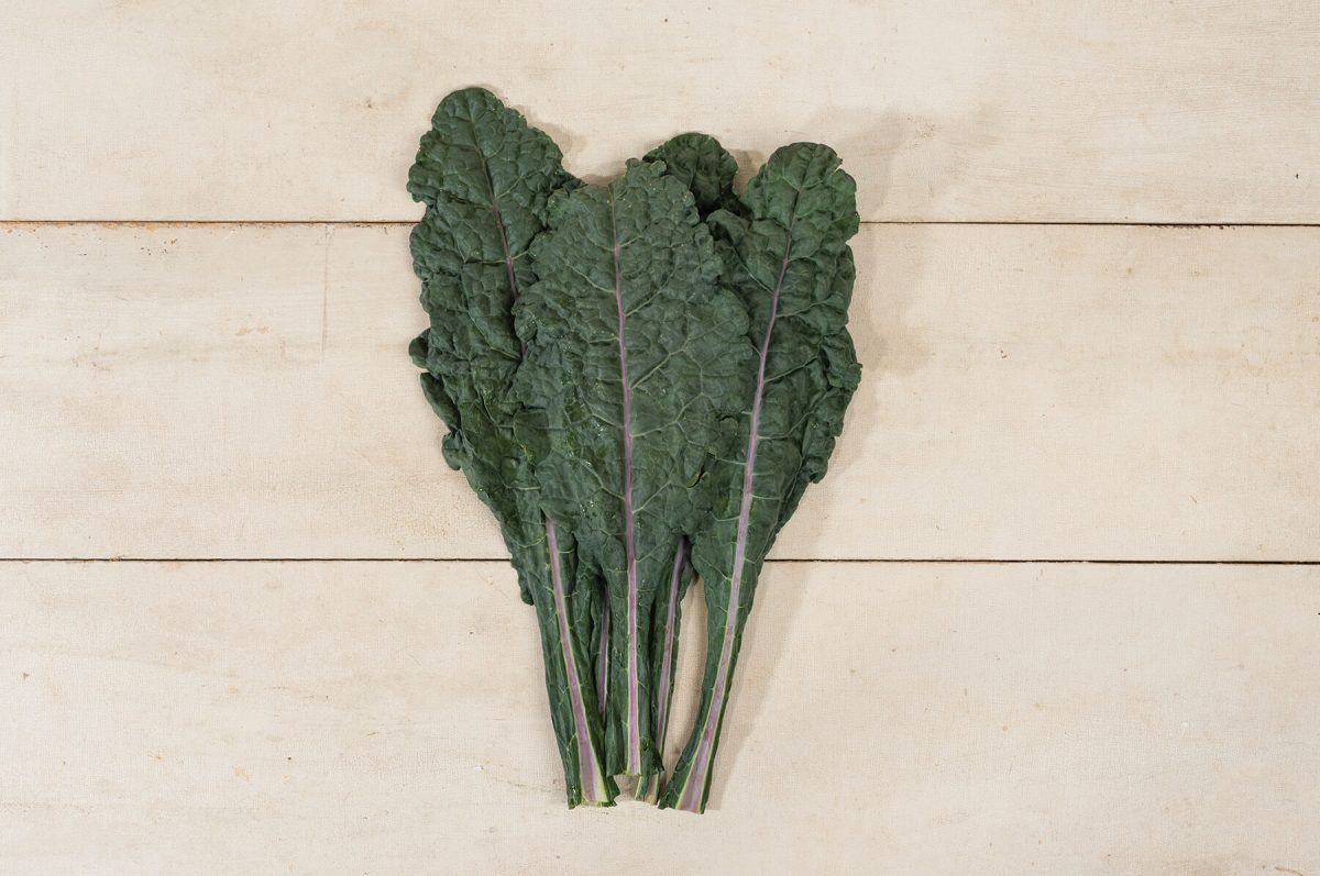 Dazzling Blue – Organic Kale Seed